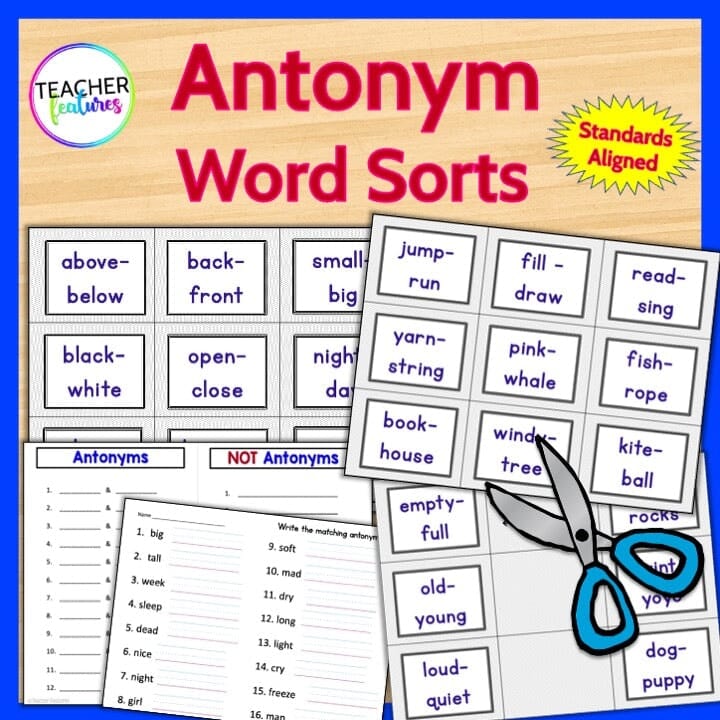 Antonym Center Activities & Matching Games Digital Download Teacher Features