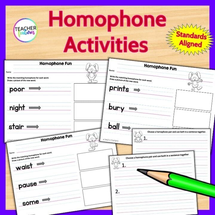 Homophones Activities & Games Digital Download Teacher Features