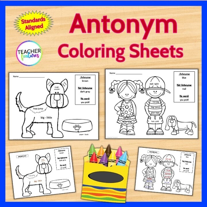 Antonym Center Activities & Matching Games Digital Download Teacher Features