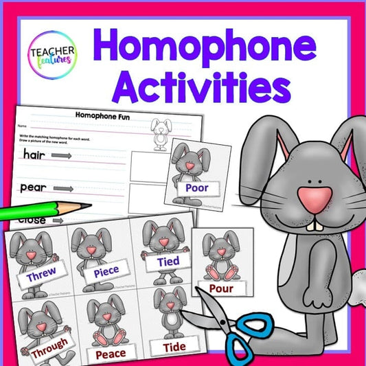 Homophones Activities & Games Digital Download Teacher Features
